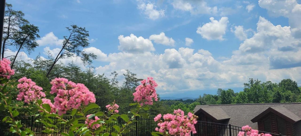 The Bear Paw Palace Mtn View And Community Pools ピジョンフォージ エクステリア 写真